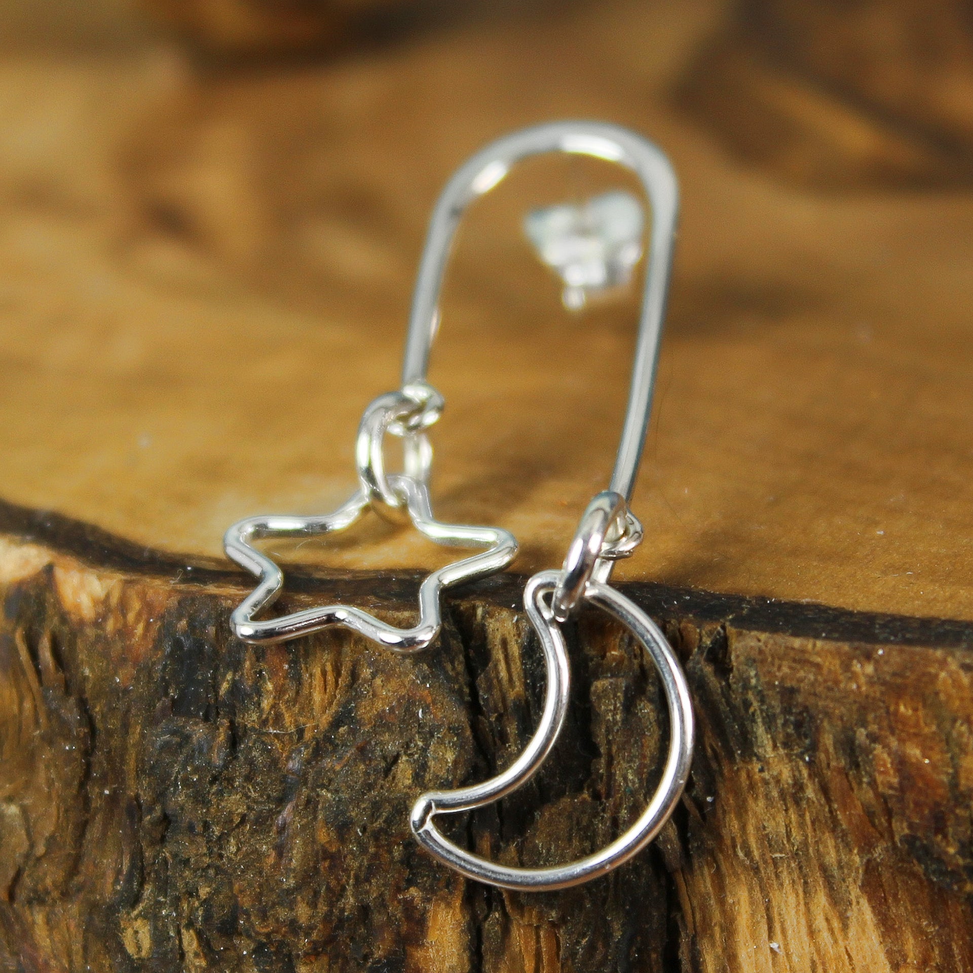 Moon & Star Post Earrings 